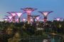 Joiner 2 Way Transfer Gardens by the Bay Day and Night Experience