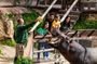 Selwo Aventura Estepona Admission Ticket
