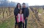 Cousiño Macul Vineyard - Maipo Valley - Premium Tasting - HD