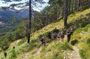 Full Day Hiking at Qorre Peak Llogara National Park