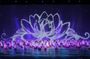 Experience Da Nang Charming Da Nang Show Ticket