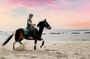 Viana do Castelo Horseback Riding Tour