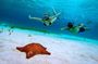 4 Hour Cozumel Reefs Snorkeling