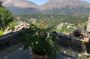 Private Tour Explore the Secrets of Wine, Olives & Honey