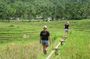 Caves Waterfalls and Cadapdapan Rice Terraces Tour in Anda Bohol