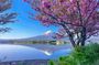 Mt Fuji & Hakone Customizable Private Tour with English Driver