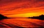 Dinner Cruise with Dolphin Watching from Cape May