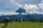 Kota Kinabalu Park and Hot Spring Day Trip in Malaysia
