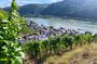 Rhine Valley Wine Tasting Tour from Frankfurt and Mainz