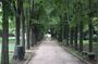 Cubbon Park Heritage Walk: A self-guided tour of Bangalore's unique history