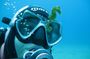 Try Scuba Diving in Split: Small-Group Experience for Beginners