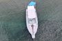 Full Charter All Inclusive for Icacos and Palomino
