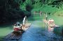 Martha Brae River Bamboo Rafting Tour