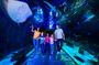 SEA LIFE Orlando Aquarium Admission Ticket at ICON Park