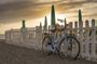 One Day Tour from Florence to the Versilian Coast