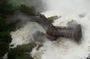 Iguazu Falls: Full Day Visit to Argentinian Side