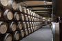 Guided tour and tasting at Duca di Salaparuta Winery