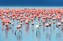Shared 2 Day Nairobi Lake Elementaita Tour
