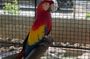 Bird Aviary/Shopping & Beach Day Out in Montego Bay