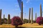 Full Day trip to Axum