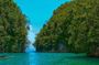 Hermit's Cove and Bojo River Eco Private Tour