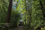 Scone Palace, Nature, Pitlochry, Whisky Experience from Edinburgh