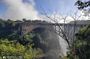 Victoria Falls Bridge Guided Walking Tour and Bush Walk