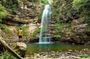 From Sydney: Private Tour — Illawarra Escarpment & Rainforest