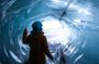 Katla Ice Cave & South Coast Waterfalls Tour From Reykjavík