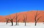 2 Days Sossusvlei Private Camping Tour