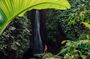 Bali : Northern Bali Private Day Trip with Transfer