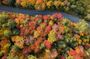 From Toronto: Algonquin Park Shuttle with Self-Guided Hikes