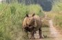 Luxury Chitwan Safari Package Experience (3 Days)