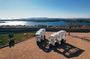 Šibenik: 3 fortresses; City&wine tour; tasting and all fees inc