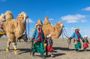 13 Days Ice and Camel Festival