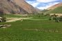 Grand Tour Elqui Valley Cultural Treasures Mountains of Chile