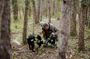 Truffle Hunting and 3-course Truffle Brunch in Motovun