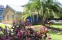 Darwin Walking Tour: World War II Reflections