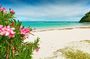Island Flava Beach Hop Tour