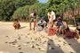 2 Day Hon Bay Canh Camping and Turtle Release Tour