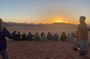 Explore Wadi Rum: Jeep Tour, Bed and Breakfast, and Dinner