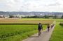 Lite Bicycle Tour Across Switzerland