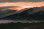 Bellavista Cloud Forest Reserve - full day