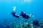 Tulamben Private Fun Dive for Certified Diver at Shipwreck and Coral Garden