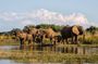 10 Day South Africa Tour- Johannesburg- Kruger Park - Durban - Cape Town