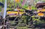 Spiritual Cleanse: Waterfall, Monkey Sanctuary, Lake, & Healing