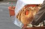 Beirut City Tour with Street Food