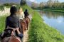 Horseback Riding Experience in Forte dei Marmi