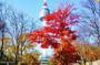 Private Seoul Walking Tour {100% private your - no shopping}