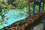 Port Vila Full Day Tour - Experience the Real Vanuatu
